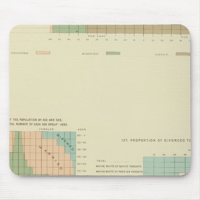 32 Konjugale Bedingung, Scheidung 1890 Mousepad (Vorne)