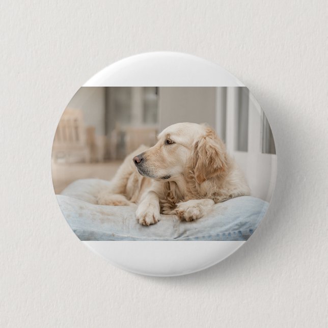 34137641_xxl button (Vorderseite)