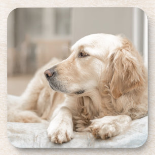 34137641_xxl getränkeuntersetzer