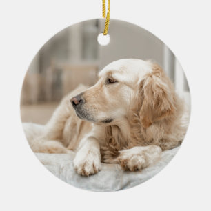 34137641_xxl keramik ornament