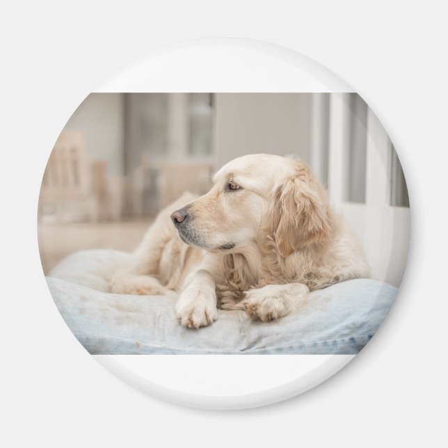 34137641_xxl magnet (Vorne)