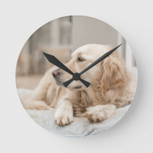 34137641_xxl runde wanduhr