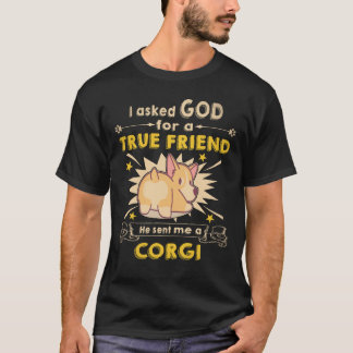34 Er schickte mir einen Corgi T-Shirt