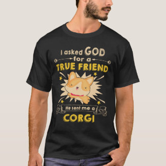 35 Er schickte mir einen Corgi T-Shirt