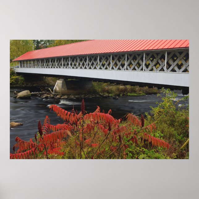 35 m lange Ashuelot-Brücke über die Brücke Poster (Vorne)