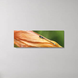 36 po x 12 po, 1,5 po, impression sur une seule to