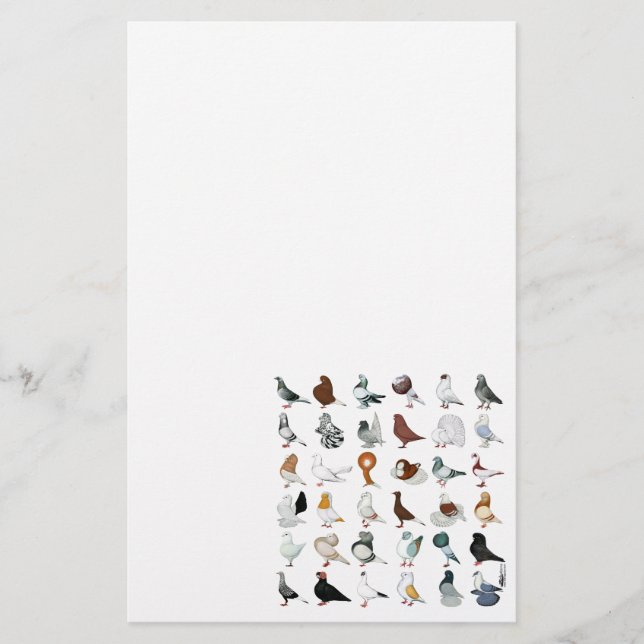 36 Taube Briefpapier (Vorderseite)