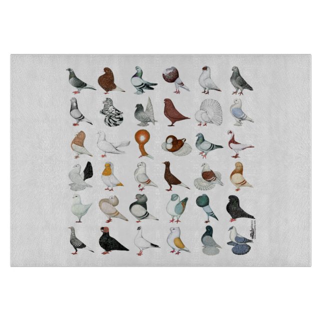 36 Taube Schneidebrett (Vorderseite)