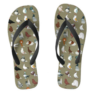 36 Taubenrassen Flip Flops
