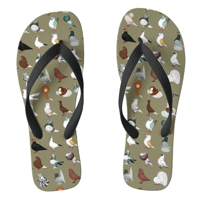 36 Taubenrassen Flip Flops (Fußbett)