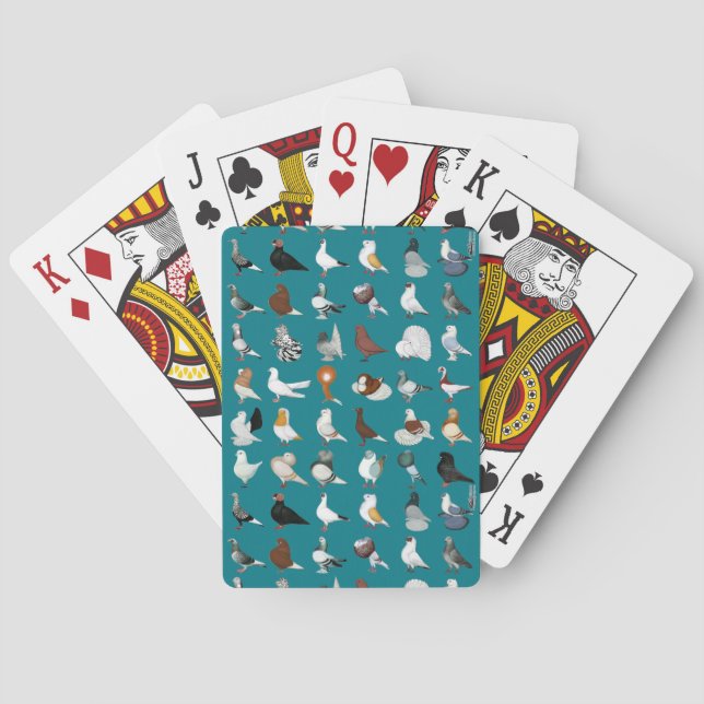 36 Taubenrassen Spielkarten (Rückseite)
