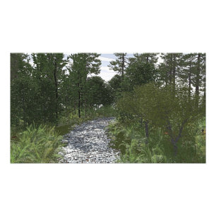 36x24" Papier-Poster mit "Stoney Way"-Bild Fotodruck