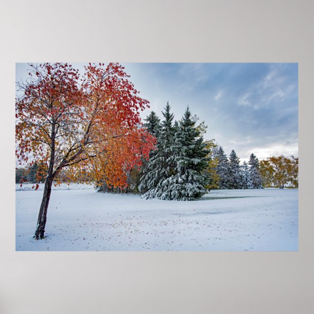 36x24-Wall-Poster Poster (Vorne)