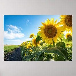 36x24-Wall-Poster Poster