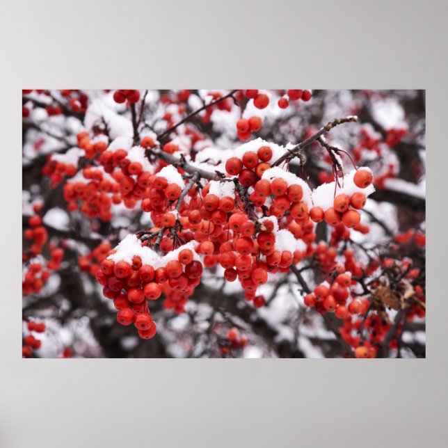 36x24-Wall-Poster Poster (Vorne)