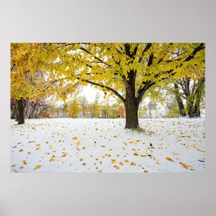 36x24-Wall-Poster Poster