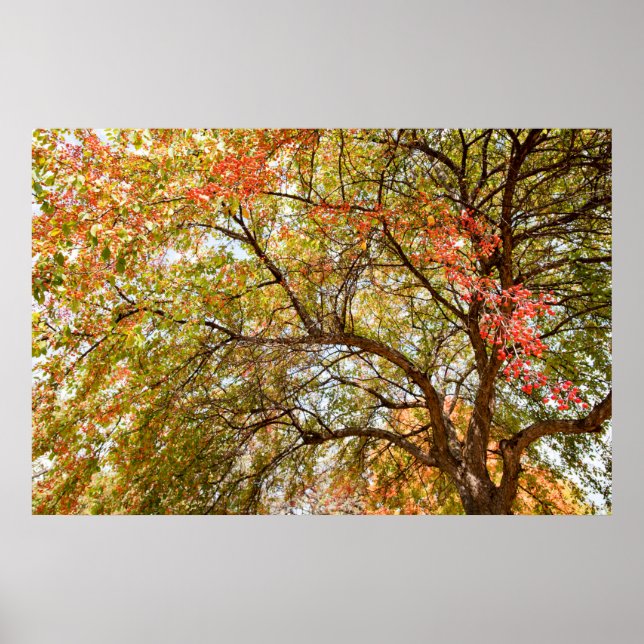 36x24-Wall-Poster Poster (Vorne)