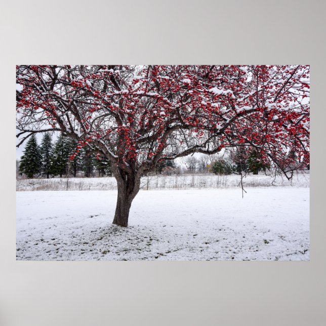 36x24-Wall-Poster Poster (Vorne)