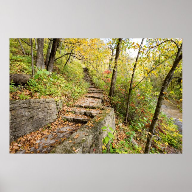 36x24-Wall-Poster Poster (Vorne)