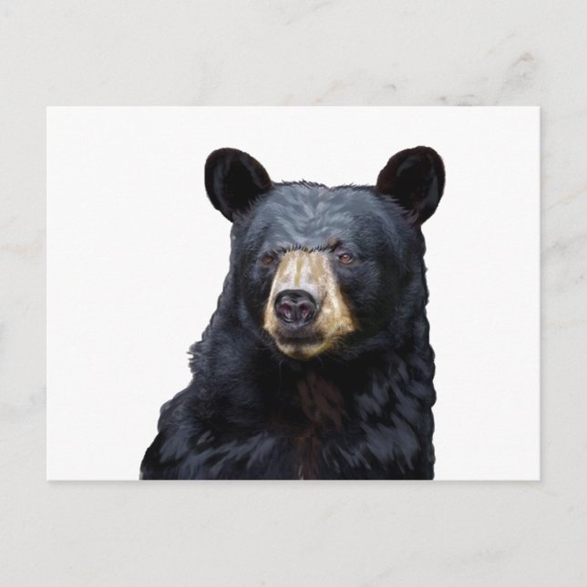 3 (10) POSTKARTE (Vorderseite)