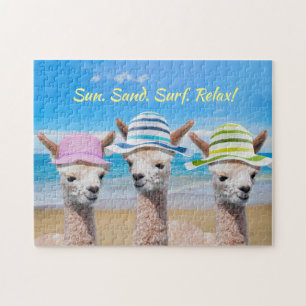 3 Alpacas on Beach in Sun Hats, DIY-Meldung