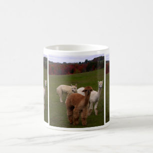 3 Alpaka-Kaffee-Tasse Kaffeetasse