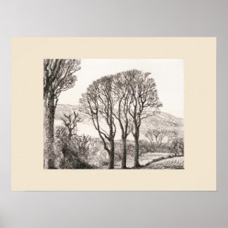 3 Arbres Impression de Cornouailles, Eleanor M Hug