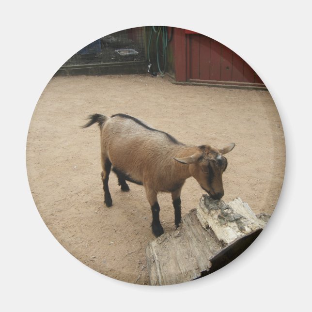 3 avril (11) Magnet (Devant)