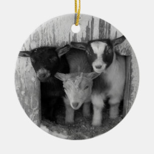 3 BABY-WINTER-ZIEGEN-WEIHNACHTSverzierung Keramik Ornament