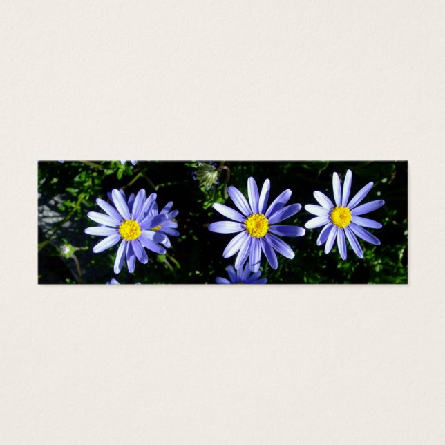 3 blaue Sonnen (Vorderseite)