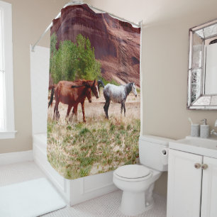 3 Chevaux en Canyon de Chelly Douche rideau