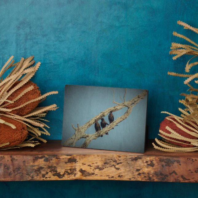 3 Crows Plaque Fotoplatte (Seite)