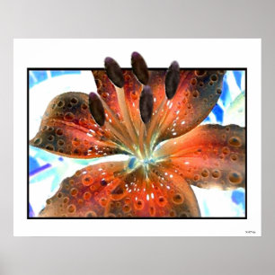 3-D Art Lilie Poster