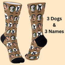 3 Dogs, 3 Names, Dog Photo - Personalized Brown