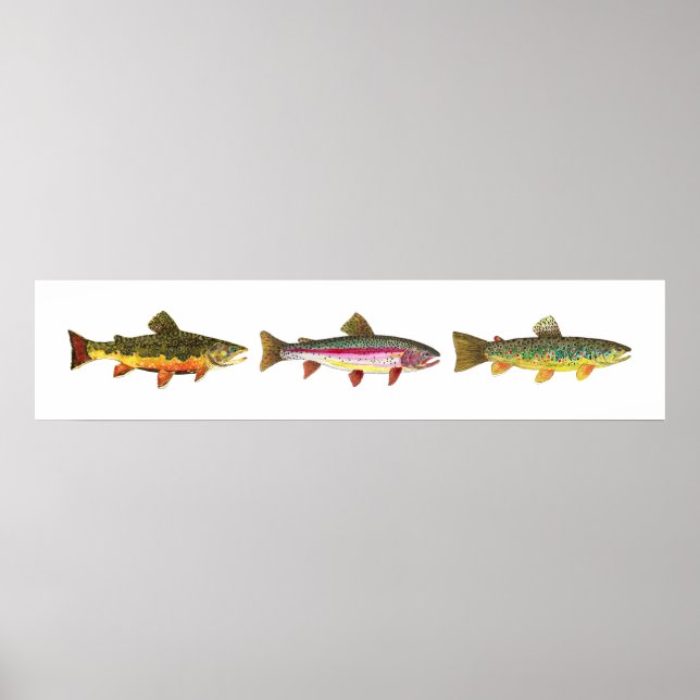 3 Forellen - Bach, Braun, Regenbogen, Hoirzontal Poster (Vorne)