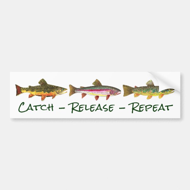 3 Forellen für die Fischerei und die Fischerei Autoaufkleber (Vorne)