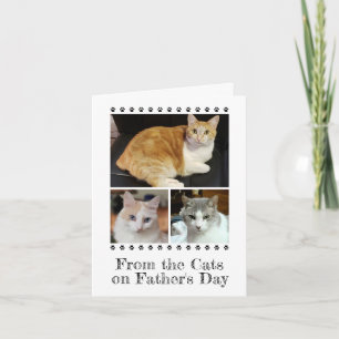 3 Foto Rustikal von Katze Hundetier Kind Kindertag Karte