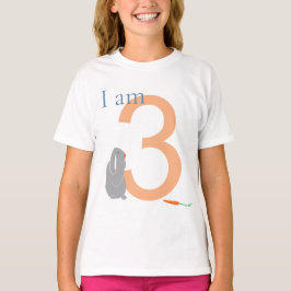 3. Geburtstag Moderner Minimaler Grauer T - Shirt