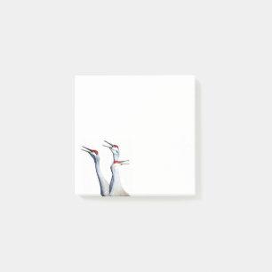 3 Grues Sandhill Photo 3x3 Post-it Notes