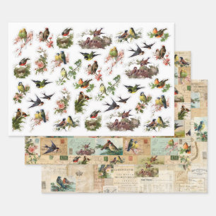 3 Hübsche VogelCollage Ephemeres Sheets Geschenkpapier Set