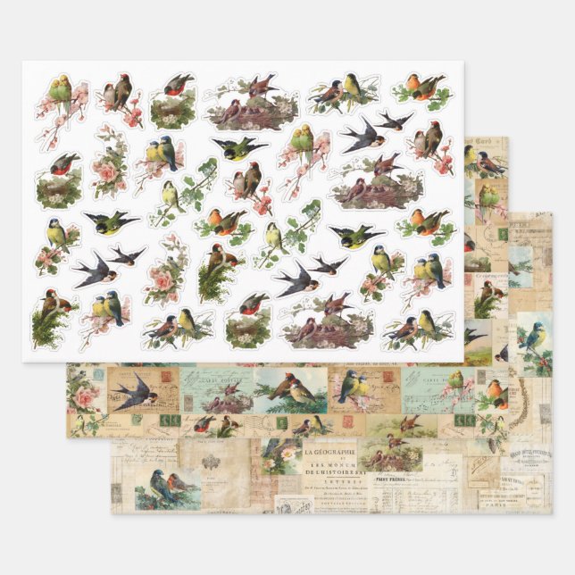 3 Hübsche VogelCollage Ephemeres Sheets Geschenkpapier Set (Set)