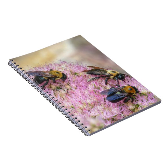 3 Hummeln Notizblock (Rechte Seite)