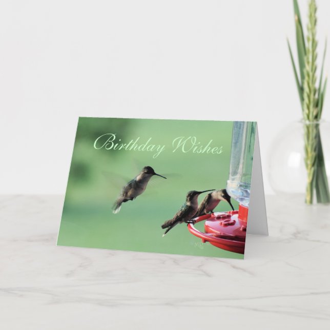 3 Hummingvögel am Züchter - jede Gelegenheit anpas Karte (Vorderseite)