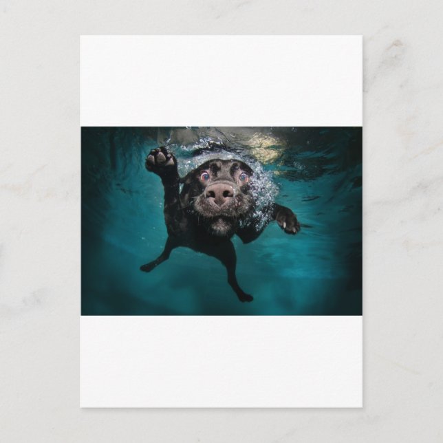 3.jpeg postkarte (Vorderseite)