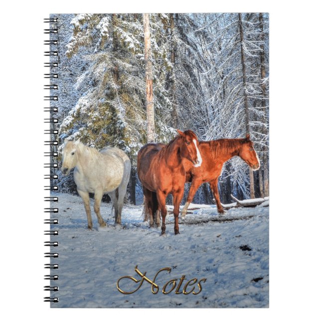 3 Kastanien, Weiß & Dun Ranch Pferde & Schneewald Notizblock (Vorderseite)