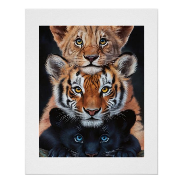 3 Kätzchen Poster (Vorderseite)