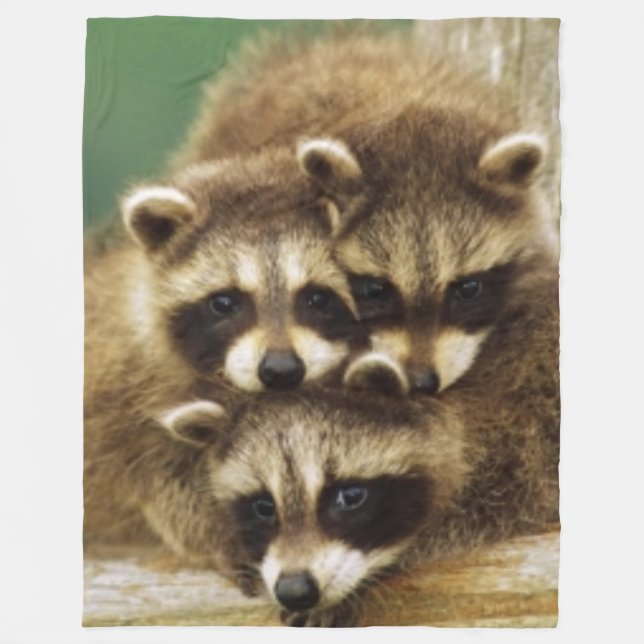 3 KLEINE WASCHBÄREN FLEECEDECKE (Vorderseite)