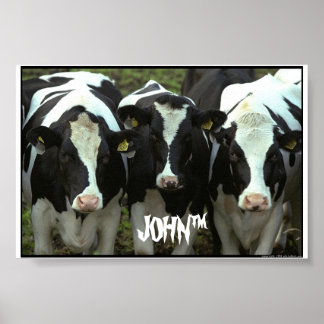 3 Kuh Poster