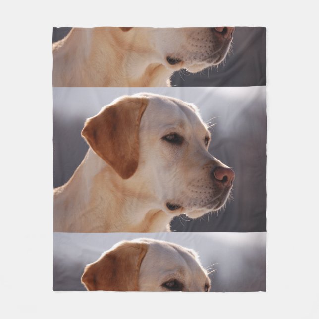 3 Labrador_Retriever Fleecedecke (Vorderseite)