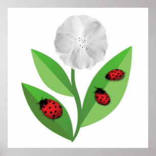 3 Ladybugs Poster
